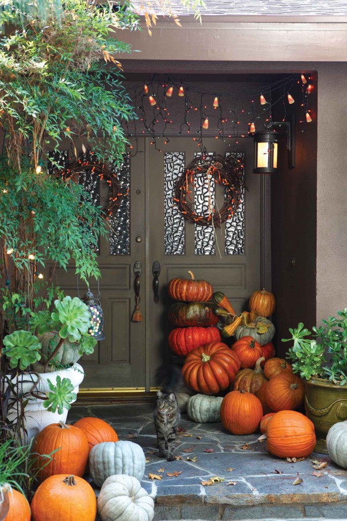 a Halloween Kitchen a Halloween Kitchen