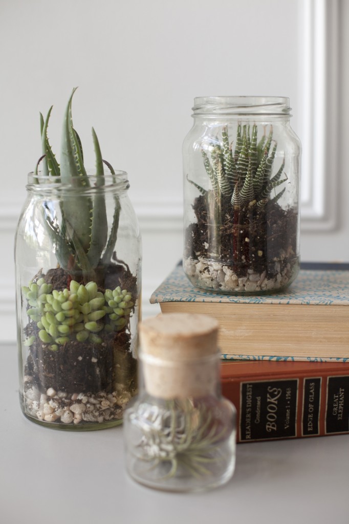 terrarium jars