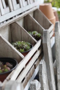 Cottage Potting Shed