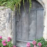 Ivy_Door