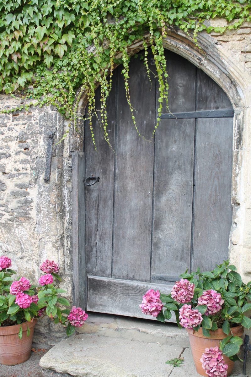 Ivy Door