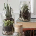 terrarium jars