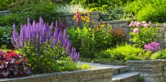 Garden with Stone Landscaping
