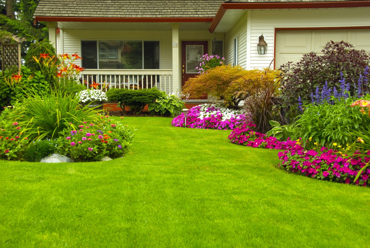 House and Garden Lawn