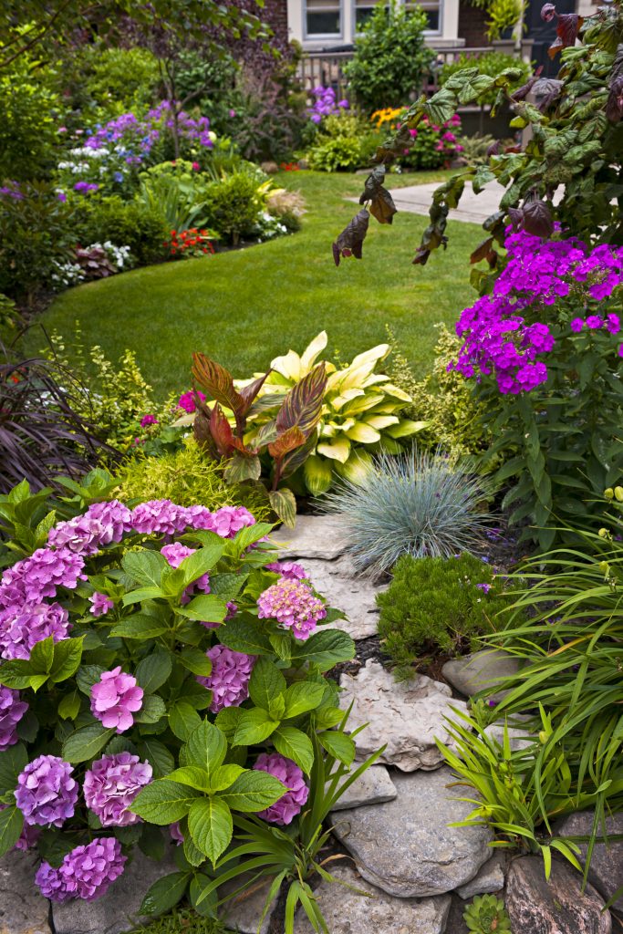 Colorful Flower Bed