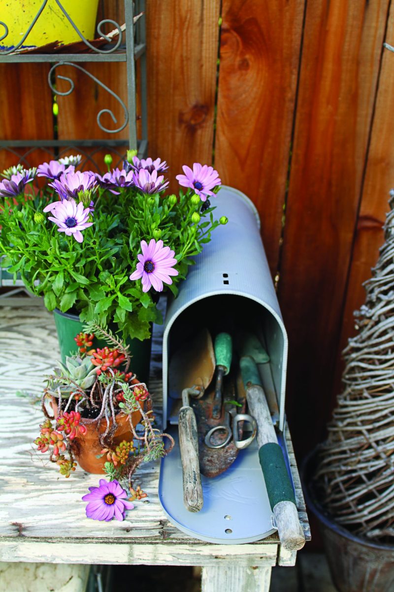 Cozy Garden Mailbox