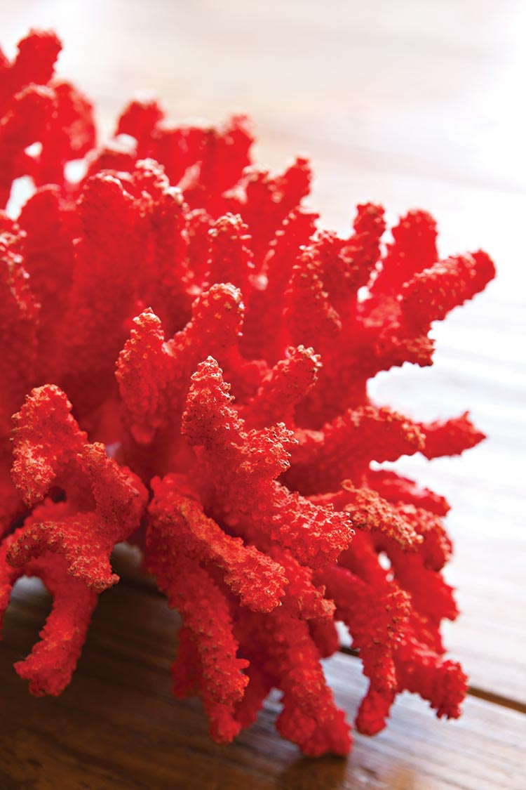 Bright red coral patriotic beach cottage decor