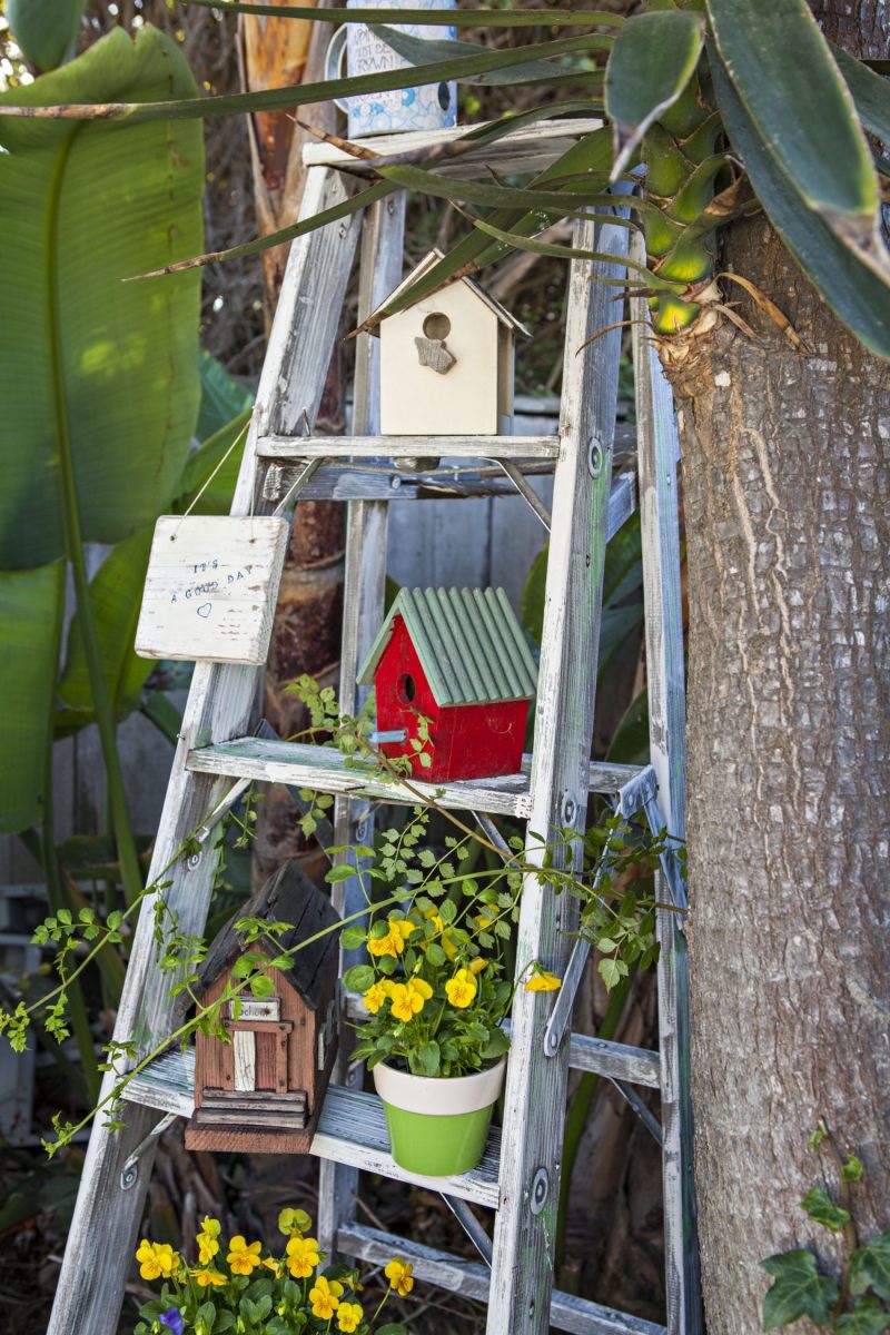 Vintage Ladder