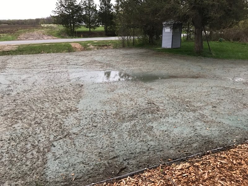 Drainage Problems Wash Away Seed
