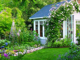 Vibrant green yard with a cottage style shed. The open shed door is welcoming and beautiful flowers grow up the side of the wall tying the shed into the yard.