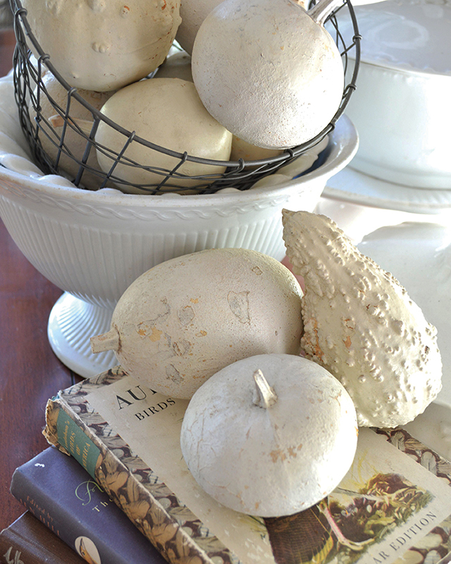 White, dried pumpkins and gourds displayed as home decor.