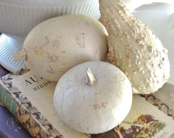 White, dried pumpkins and gourds displayed as home decor.
