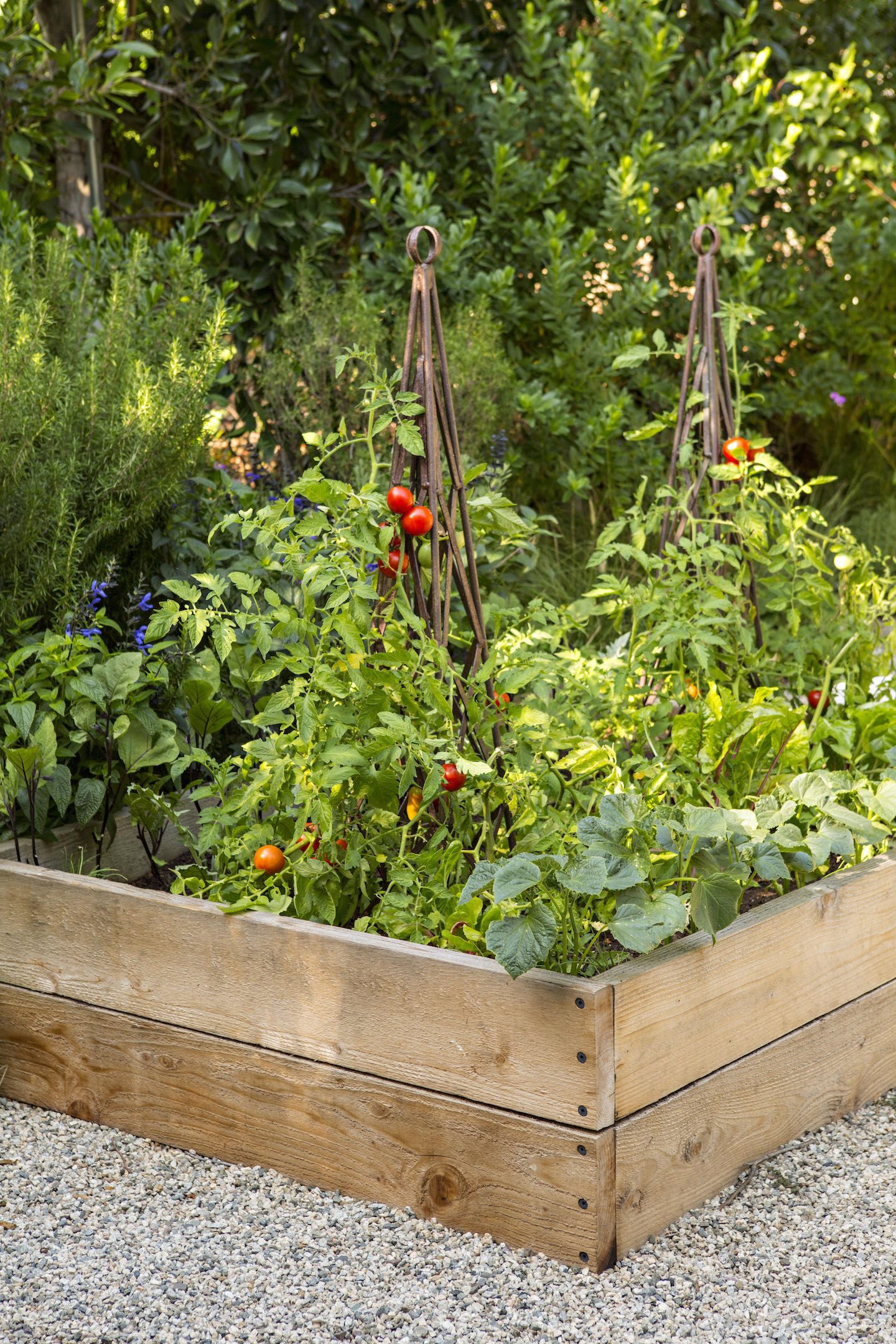 raised veggie bed with iron trellis