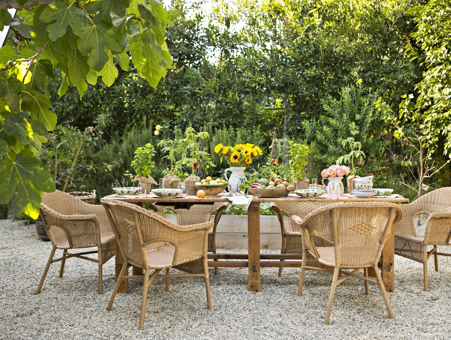 rattan garden chairs and a farm table in the vegetable garden