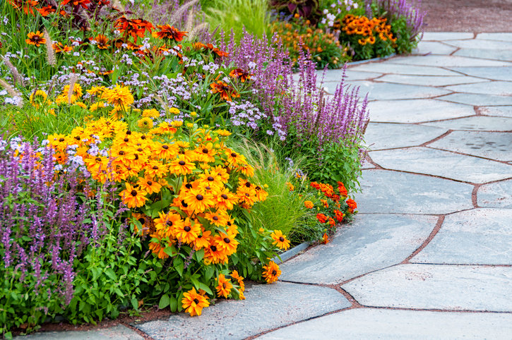 Flowerbeds_and_slates