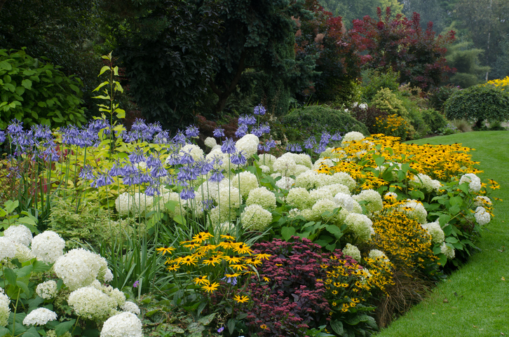 Large_English_perennial_border