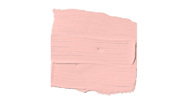 Light Coral Sunset Paint Color