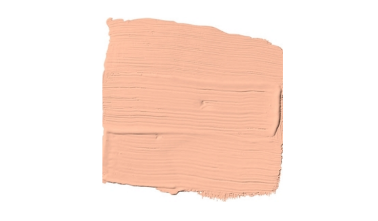 Peach Medley Paint Color