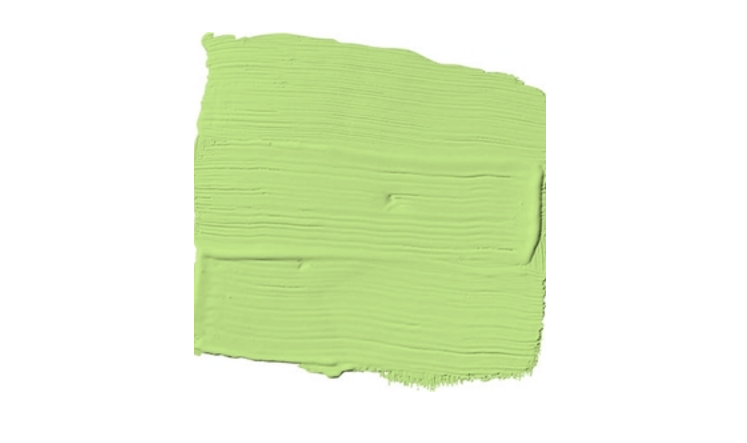 Spring Green Paint Color