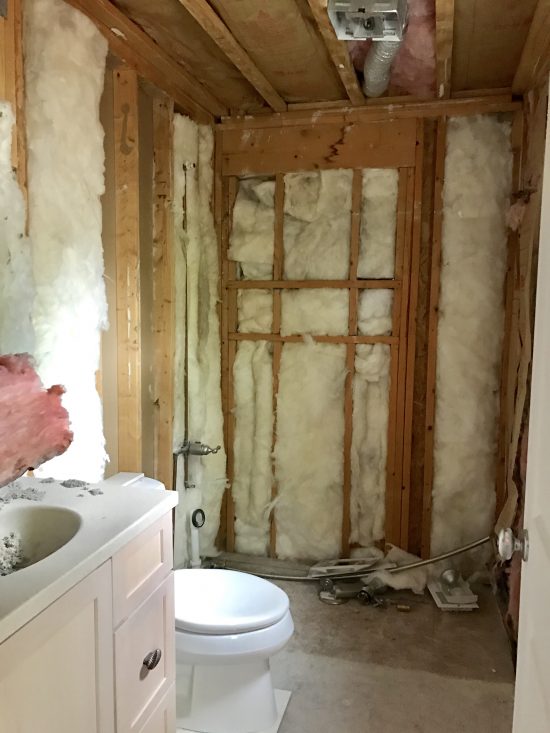 downstairs bathroom demo