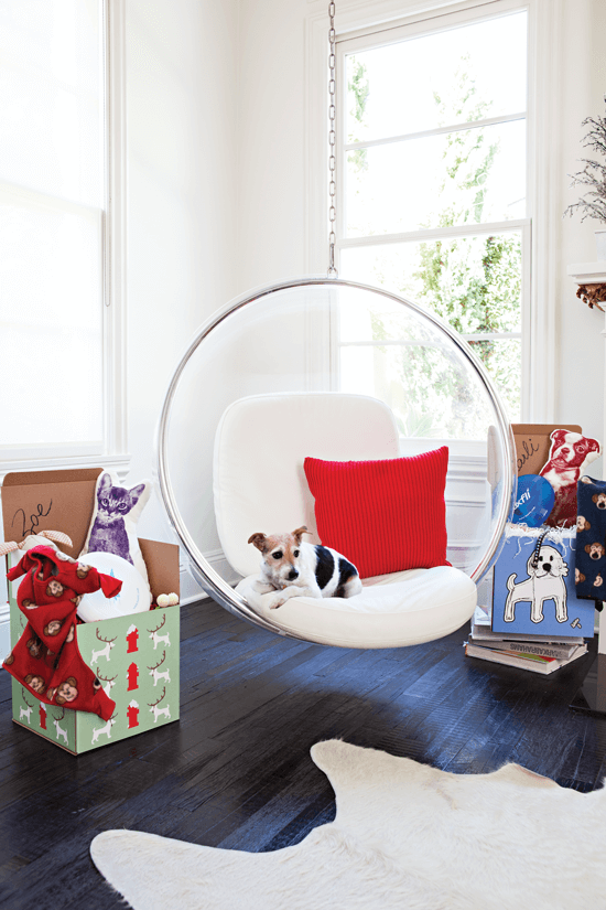 Small dog perched in a modern bubble chair—paired with rustic dark floors and a cowhide rug, the blend of old and new is timeless and fresh.