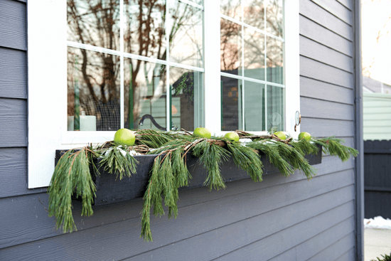 This window box, which sits beneath the kitchen window, is filled with greenery and apples. 