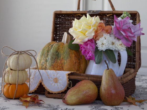 pumpkins in a picnic basket