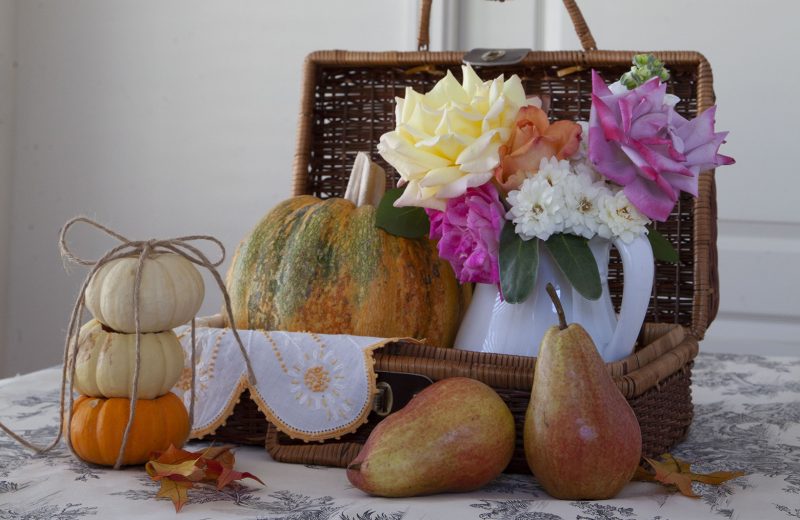 pumpkins in a picnic basket