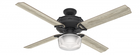 Product image: The Brunswick Fan from Hunter Fan Company.