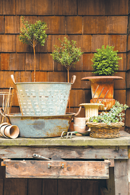 potting bench with topiaries and vintage olive buckets