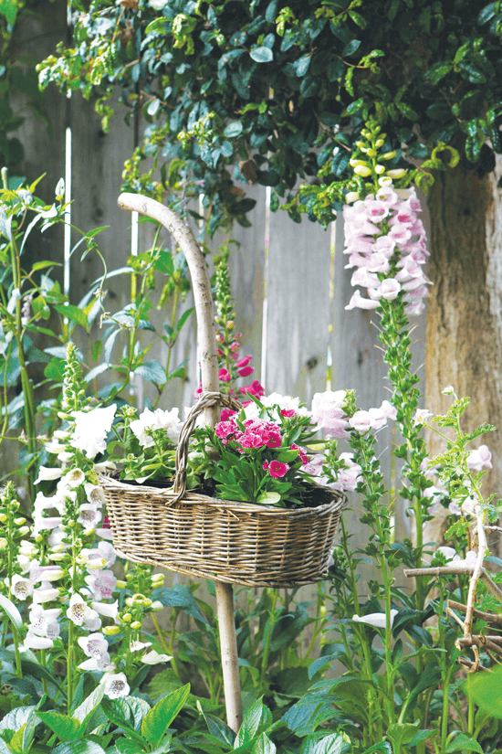 handled basket used as a hanging basket in the garden