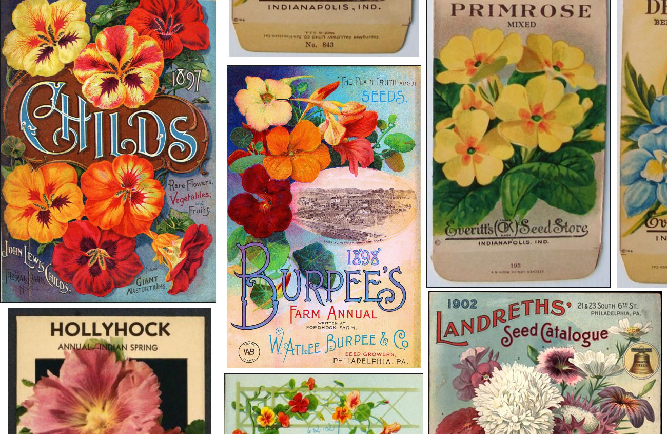 Collecting Vintage Seed Packets - Cottage style decorating