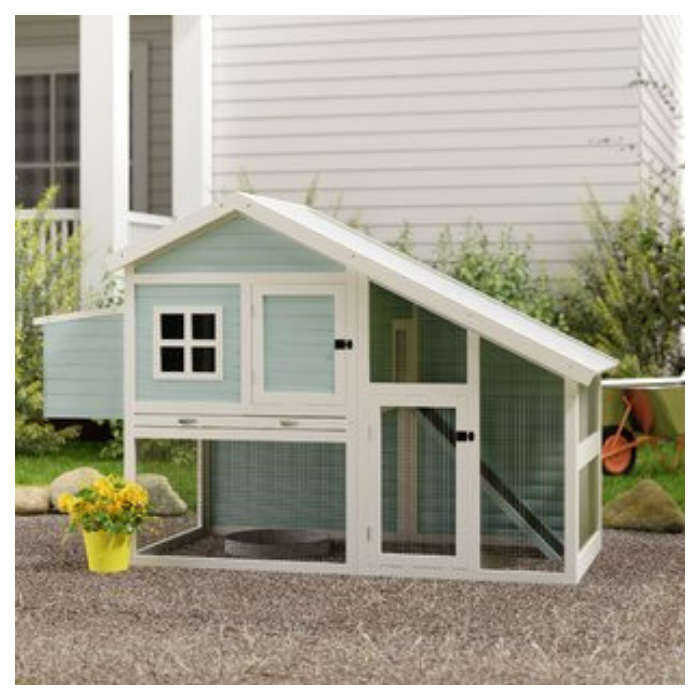 light blue and white trimmed outdoor chicken coop