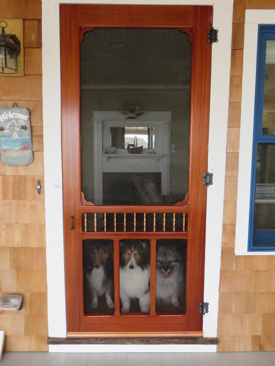 cottage charm door with double screen // vintage doors