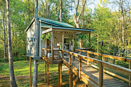 walkway to an outdoor treehouse