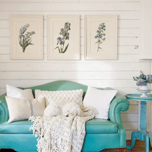 Minty green leather couch adorned with white pillows of all sizes and a sweet white pup curled up asleep. Background of white shiplap walls and vintage botanical prints.