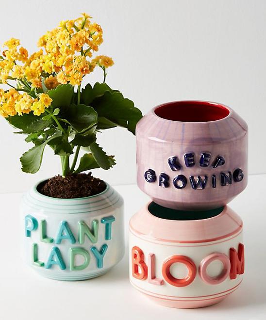 Set of three fun pots for small plants. Two stacked up empty and one filled with soil and bright yellow flowers. 