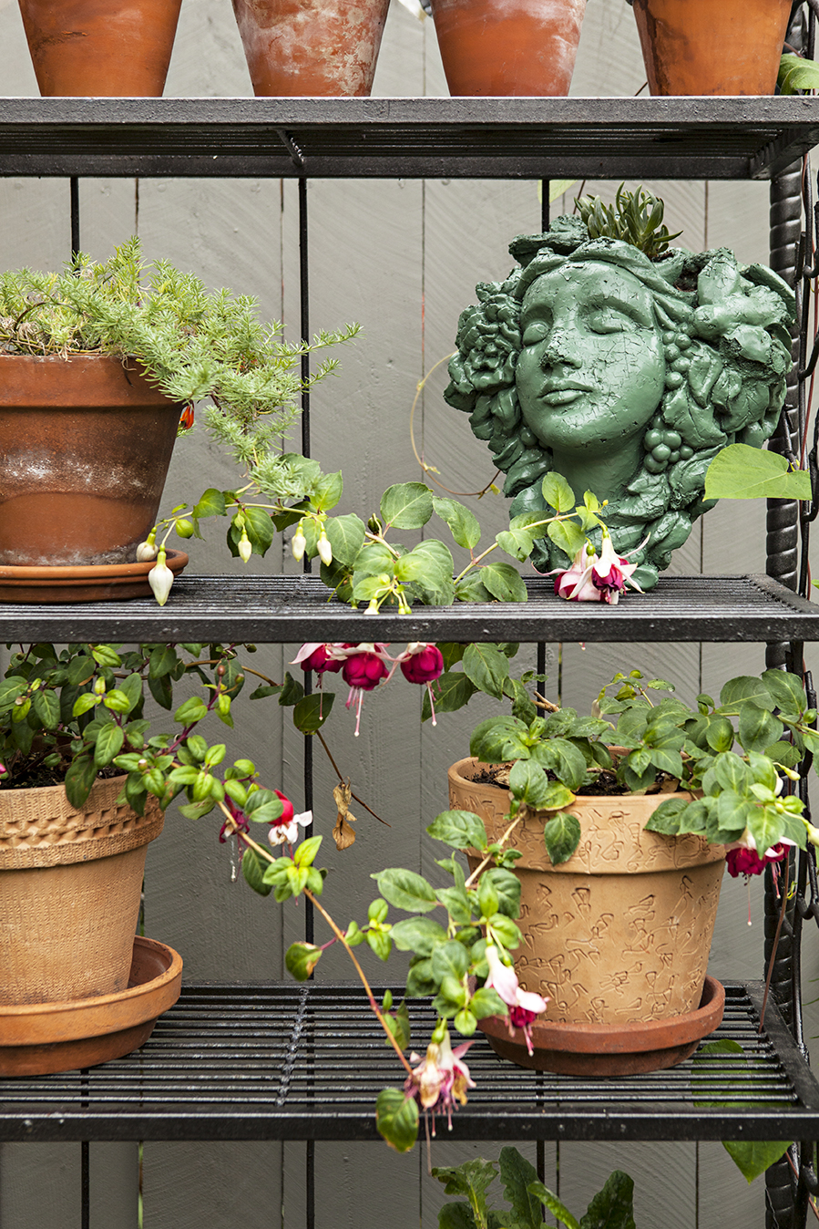 An outdoor shelf decorated with terra cotta pots in bloom.