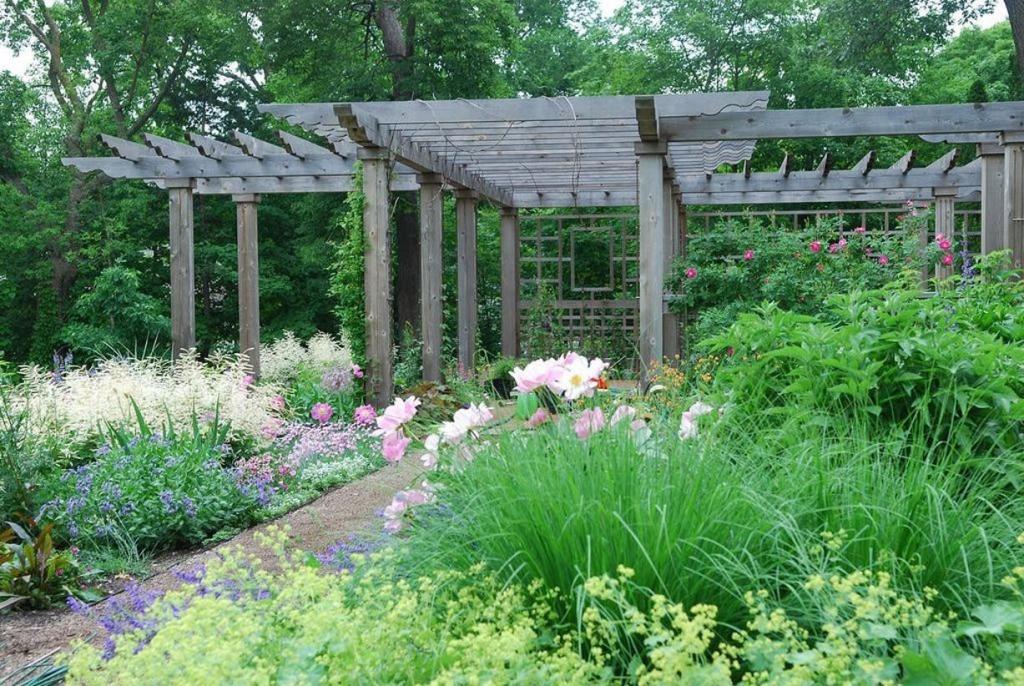 garden pergola with meadow flowers