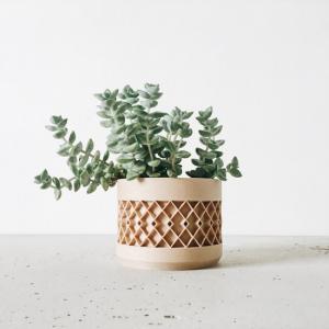 Wooden pot with hand-crafted detail filled with a small green succulent.