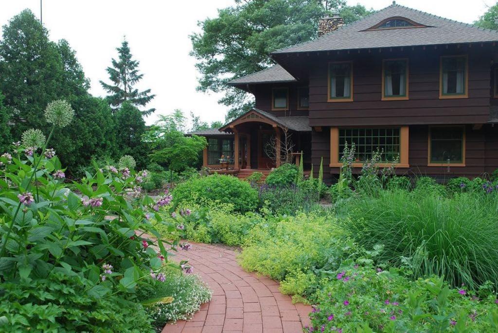 A home with a natural, meadow0like garden growing in front of it.