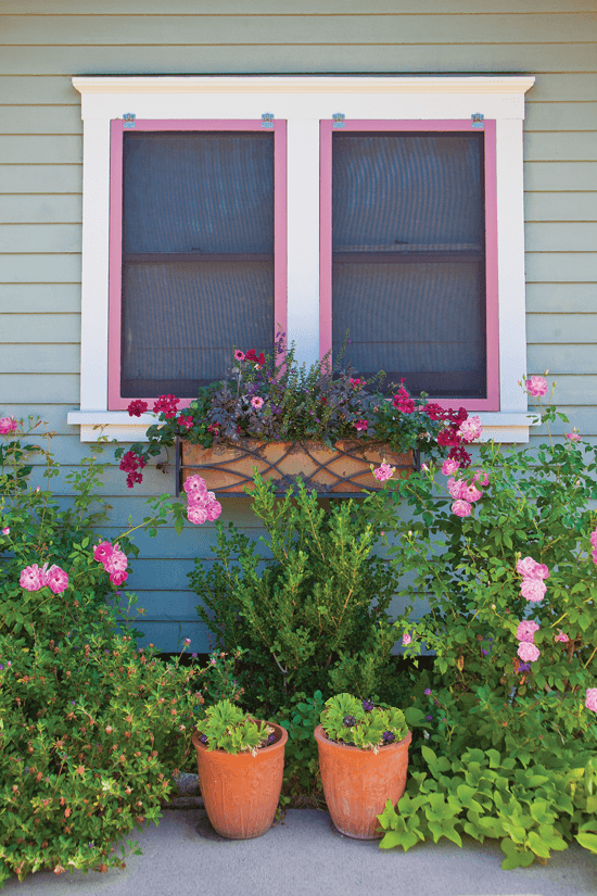victorian window with pink painted trim
