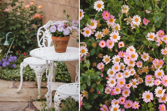Out door white bistro set and charming light pink chrysanthemums.