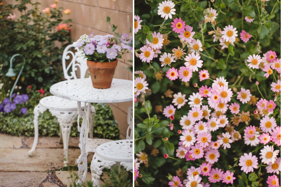 Out door white bistro set and charming light pink chrysanthemums. 