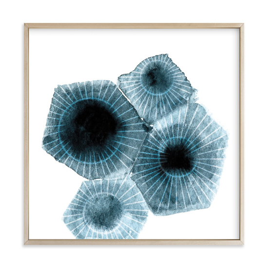 Wall print of fossilized shells in thin wooden frame