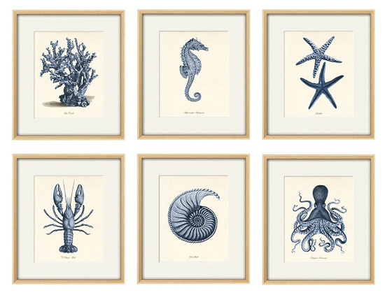 collection of 6 baby blue vintage ocean prints in frames
