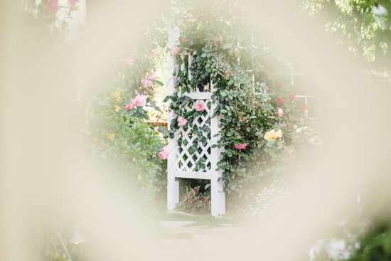 Peak through a garden gate to roses growing up a latticed arch.