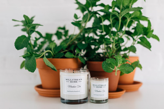 different sized candles in front of bright green plants in clay pots.