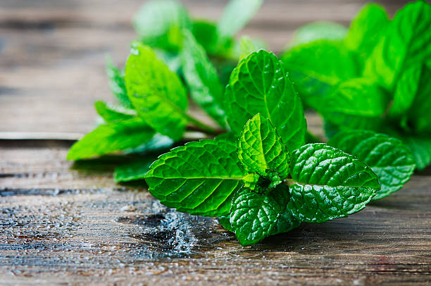 Fresh mint leaves on a wooden table