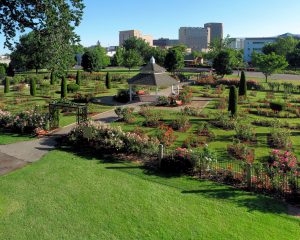 rose garden in Boise, Idaho